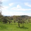 Veranstaltungen im April 2018 in Oberschwaben Oberschwaben im April