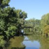 Argen & sein Naturschutzgebiet Argen