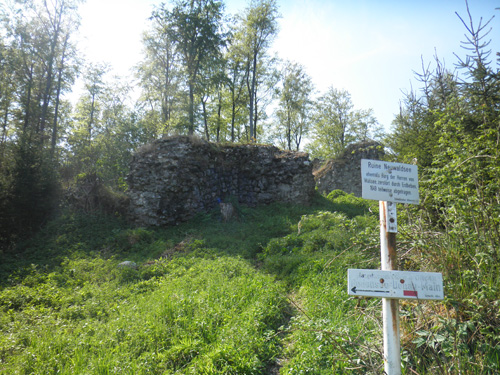 Ruine der Burg Neuwaldsee | Ziel zum Wandern in Oberschwaben