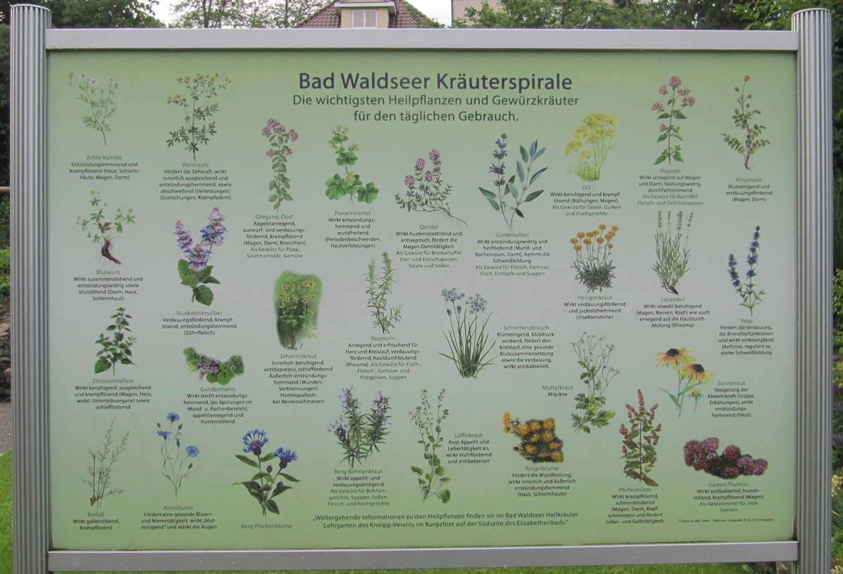 kräuterundwirkung Oberschwabens Sehenswürdigkeiten