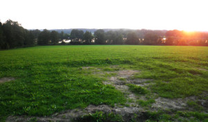 ausblick von der anderen seite des metzisweiler weiher