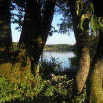 blick auf badesee metzisweiler weiher