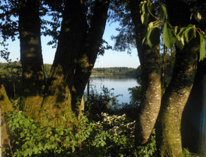 blick auf badesee metzisweiler weiher