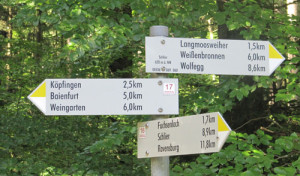 wanderschilder im altdorfer wald