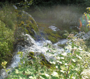 wasserfall weissenbronnen