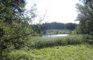 wasserschutzgebiet und wanderziel altdorfer wald