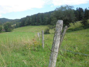Allgäu