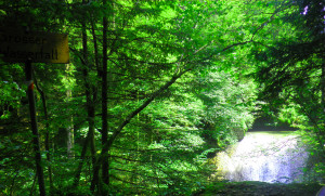 grosser wasserfall eistobel