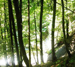 panoramabild wanderweg eistobel isny