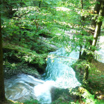 wasser durch den eistobel allgäu