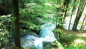 wasser durch den eistobel allgäu