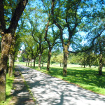 Weg zum Krankenhaus vom Stadtsee Bad Waldsee