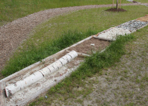 Barfussweg Pfrunger-Burgweiler Ried Wilhelmsdorf