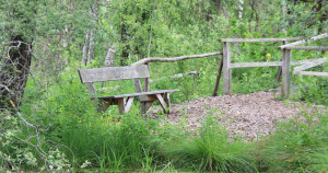 Sitzbank im Pfrunger-Burgweiler Ried Wilhelmsdorf