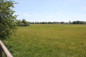 aussicht auf riedwiese wackelwald bad buchau