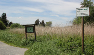 wackelwald bad buchau