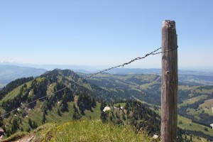 Ausblick vom Hochgrat