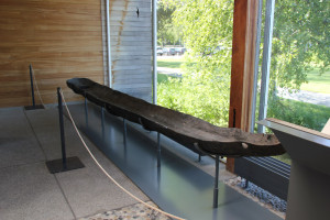 Ausgehöhlter-Baumstamm-steinzeitliches-Boot-federseemuseum