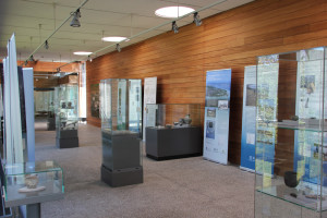 Ausstellungsraum Ferderseemuseum Bad Buchau.JPG