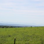 Blick Richtung Bodensee von Ebisweiler