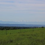 Blick zu den Alpen von Aulendorf Ebisweiler