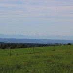 Blick zu den Alpen von Aulendorf Ebisweiler