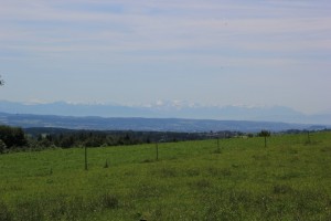 Blick zu den Alpen von Aulendorf Ebisweiler
