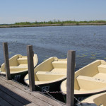 Boote zum Ausleihen Federsee Bad Buchau