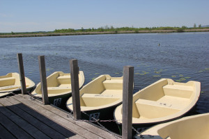 Boote zum Ausleihen Federsee Bad Buchau