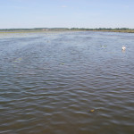 Bootfahr Areal im Federsee Bad Buchau