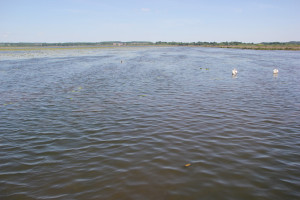 Bootfahr Areal im Federsee Bad Buchau