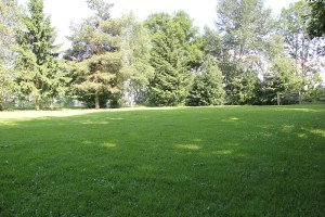 Fussballplatz Steinach Bad Waldsee
