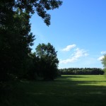 Riedlichtung Bad Waldsee