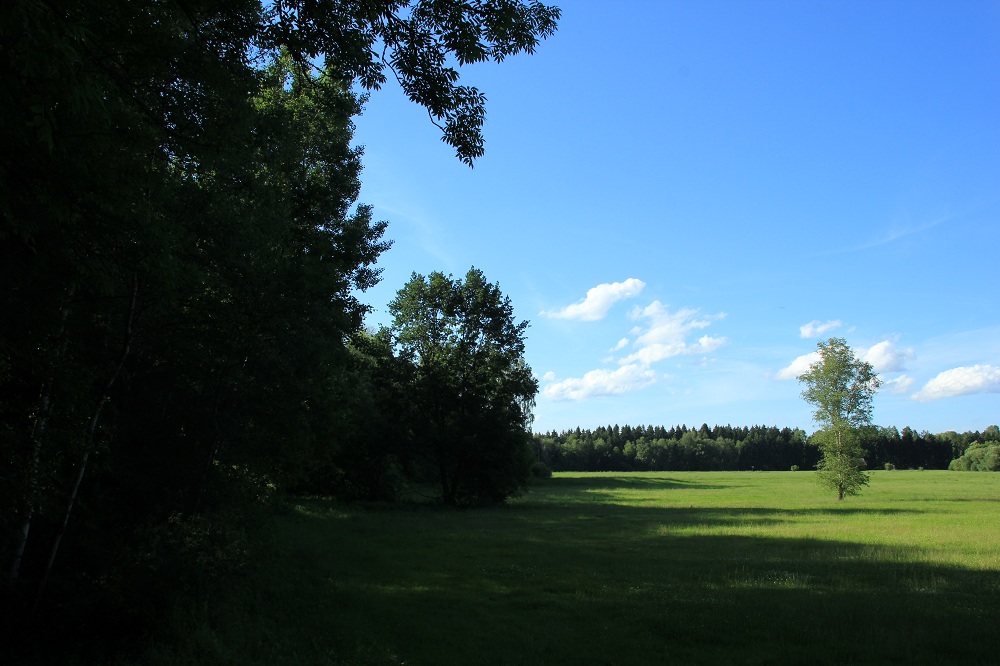 Steinacher Ried | Moorgebiet Bad Waldsee