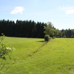 Riedwiese Bad Waldsee