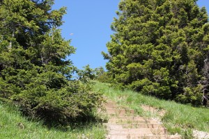 Stufen des Wanderwegs zum Gipfel Hochgrat
