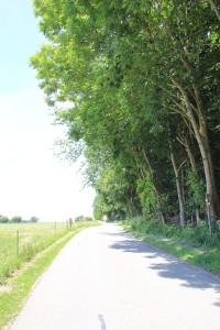 Weg nach Ebisweiler vom Aussichtspunkt aus