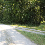 Kreuzung in den Wald