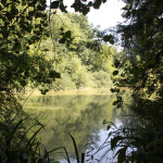 Kiebelesweiher Baindter Wald