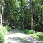 Bergauf zu den anderen Seen