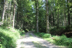 Bergauf zu den anderen Seen
