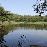 Schwanzwiesweiher