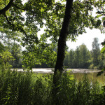 Schwanzwiesweiher Wald-Weiher-Wanderweg Baindter Wald Nord