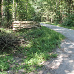 vom Schwanzwiesweiher zum Bunkhofer Weiher links