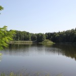 Bunkhofer Weiher