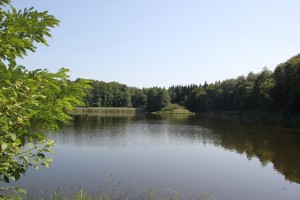 Bunkhofer Weiher