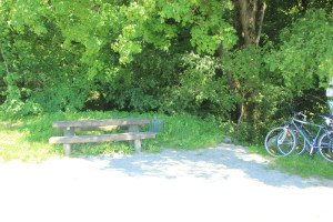 Bank an der Straße zum Schussenursprung Bad Schussenried