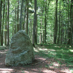 Findling am Waldlehrpfad Tannenbühl Bad Waldsee