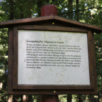Infoschild auf dem Waldlehrpfad Tannenbühl