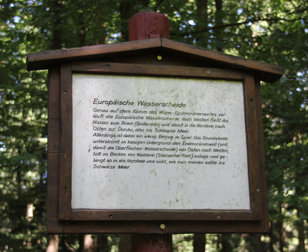 Infoschild-auf-dem-Waldlehrpfad-Tannenbühl